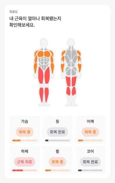 근육 피로도 카드 — 신체 전·후면 그림에 부위별 회복 상태가 색으로 표시되고 아래 6 부위 카드에 회복 중·회복 완료·근육 피로 라벨