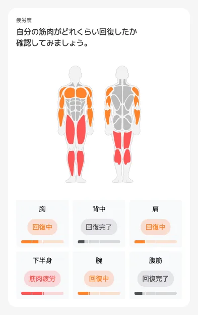 筋肉の疲労度カード — 身体の前面・背面の図に部位別の回復状態が色で表示され、下の 6 部位カードに回復中・回復完了・筋肉疲労ラベル